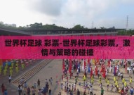 世界杯足球 彩票-世界杯足球彩票，激情与策略的碰撞