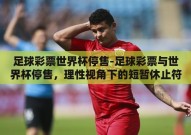 足球彩票世界杯停售-足球彩票与世界杯停售，理性视角下的短暂休止符