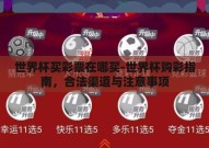 世界杯买彩票在哪买-世界杯购彩指南，合法渠道与注意事项