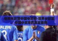 世界杯彩票中国中奖率-世界杯彩票，中国中奖率的真实面貌