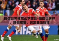 微信世界杯怎么下赌注-微信世界杯，理性观赛，远离非法赌注
