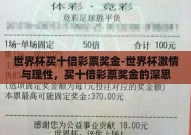 世界杯买十倍彩票奖金-世界杯激情与理性，买十倍彩票奖金的深思