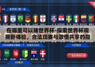 在哪里可以赌世界杯-探索世界杯观赛新体验，合法观赛与激情共享的指南