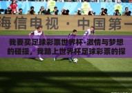 我要买足球彩票世界杯-激情与梦想的碰撞，我踏上世界杯足球彩票的探险之旅