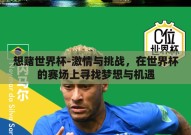 想赌世界杯-激情与挑战，在世界杯的赛场上寻找梦想与机遇