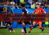 微信怎么美世界杯彩票-微信玩转世界杯，解锁彩票预测的趣味与技巧
