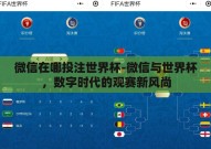 微信在哪投注世界杯-微信与世界杯，数字时代的观赛新风尚