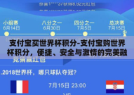 支付宝买世界杯积分-支付宝购世界杯积分，便捷、安全与激情的完美融合