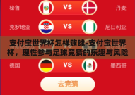 支付宝世界杯怎样赌球-支付宝世界杯，理性参与足球竞猜的乐趣与风险