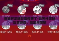 世界杯足球彩票停售了-世界杯足球彩票停售，影响与展望