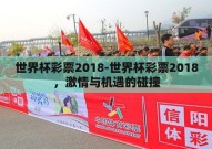 世界杯彩票2018-世界杯彩票2018，激情与机遇的碰撞