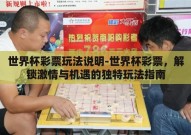 世界杯彩票玩法说明-世界杯彩票，解锁激情与机遇的独特玩法指南