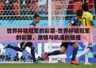 世界杯猜冠军的彩票-世界杯猜冠军的彩票，激情与机遇的碰撞