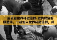 一起去看世界杯微信群-激情燃烧的绿茵场，一起加入世界杯微信群，共享足球盛宴