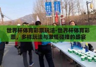 世界杯体育彩票玩法-世界杯体育彩票，多样玩法与激情碰撞的盛宴