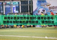 体育彩票买世界杯加时-体育彩票与世界杯加时赛的激情碰撞，理性投注的智慧之旅