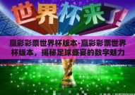 赢彩彩票世界杯版本-赢彩彩票世界杯版本，揭秘足球盛宴的数字魅力