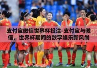 支付宝微信世界杯投注-支付宝与微信，世界杯期间的数字娱乐新风尚