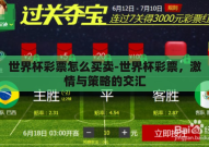 世界杯彩票怎么买卖-世界杯彩票，激情与策略的交汇