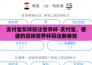支付宝怎样投注世界杯-支付宝，便捷的足球世界杯投注新体验