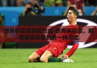 世界杯彩票购买方式-世界杯彩票，解锁观赛乐趣的另一种方式