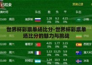 世界杯彩票单场比分-世界杯彩票单场比分的魅力与挑战