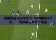 网易世界杯彩票怎么-网易世界杯彩票，一场数字与激情的盛宴