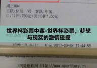 世界杯彩票中奖-世界杯彩票，梦想与现实的激情碰撞