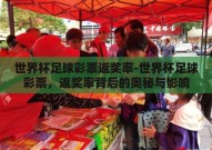 世界杯足球彩票返奖率-世界杯足球彩票，返奖率背后的奥秘与影响