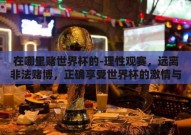 在哪里赌世界杯的-理性观赛，远离非法赌博，正确享受世界杯的激情与乐趣