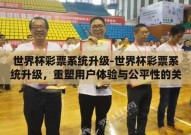世界杯彩票系统升级-世界杯彩票系统升级，重塑用户体验与公平性的关键举措
