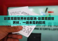 彩票竞猜世界杯后取消-彩票竞猜世界杯，一场未竟的狂欢