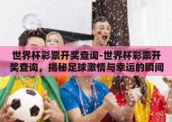 世界杯彩票开奖查询-世界杯彩票开奖查询，揭秘足球激情与幸运的瞬间