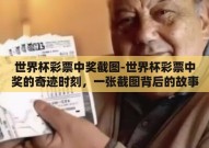 世界杯彩票中奖截图-世界杯彩票中奖的奇迹时刻，一张截图背后的故事