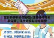 世界杯体育彩票停售-世界杯体育彩票停售，理性审视与未来展望