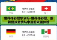 世界杯彩票怎么吗-世界杯彩票，解锁足球激情与幸运的双重体验
