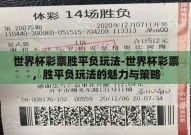 世界杯彩票胜平负玩法-世界杯彩票，胜平负玩法的魅力与策略