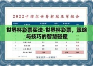 世界杯彩票买法-世界杯彩票，策略与技巧的智慧碰撞