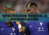 世界杯彩票买总球数-世界杯彩票，玩转总球数的乐趣与策略