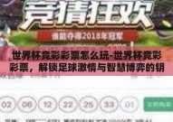 世界杯竞彩彩票怎么玩-世界杯竞彩彩票，解锁足球激情与智慧博弈的钥匙