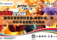 体育彩票世界杯奖金-体育彩票，世界杯奖金的魅力与挑战