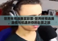 世界杯预选赛买彩票-世界杯预选赛，激情与机遇并存的彩票之旅