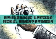 世界杯彩票无法购买-世界杯彩票的购买困境，理性视角下的市场限制与个人选择