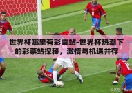 世界杯哪里有彩票站-世界杯热潮下的彩票站探秘，激情与机遇并存