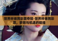 世界杯体育彩票夺冠-世界杯体育彩票，梦想与机遇的碰撞