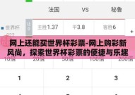 网上还能买世界杯彩票-网上购彩新风尚，探索世界杯彩票的便捷与乐趣