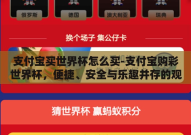 支付宝买世界杯怎么买-支付宝购彩世界杯，便捷、安全与乐趣并存的观赛新体验