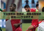下注世界杯-世界杯，激情与智慧的碰撞——下注的艺术