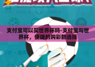 支付宝可以买世界杯吗-支付宝与世界杯，便捷的购彩新选择