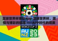 足球世界杯博彩app-足球世界杯，激情与博彩的碰撞——APP时代的观赛新体验